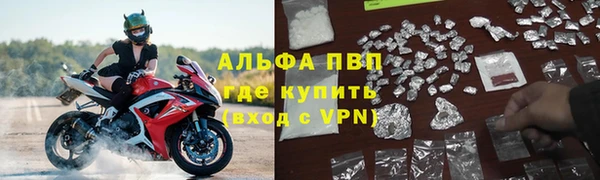 молекула духа Бронницы