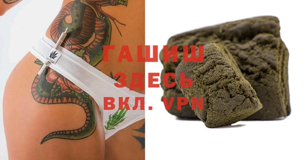 сатива Бородино