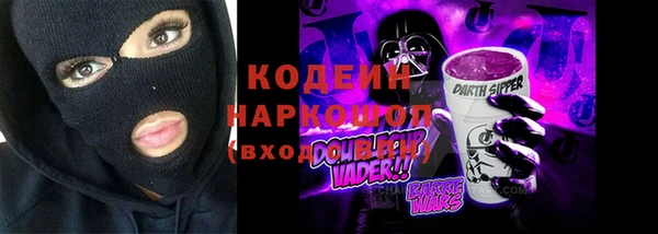 сатива Бородино