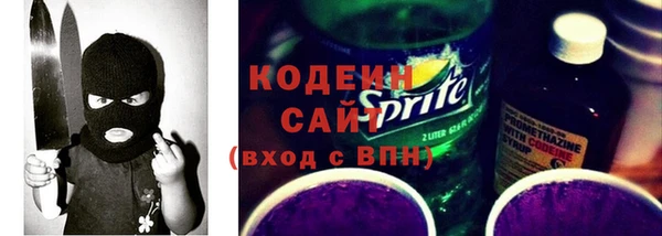 сатива Бородино