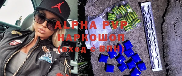 сатива Бородино