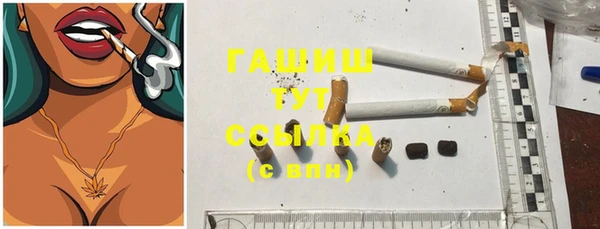 сатива Бородино