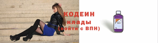 сатива Бородино