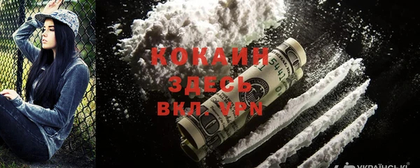 молекула духа Бронницы