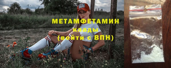 сатива Бородино