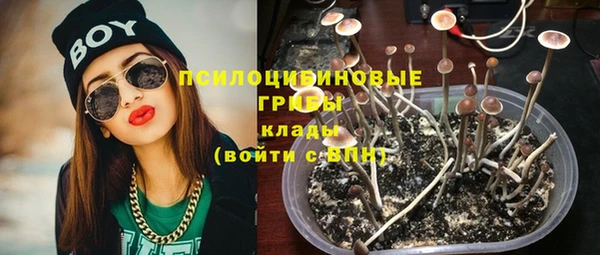 сатива Бородино