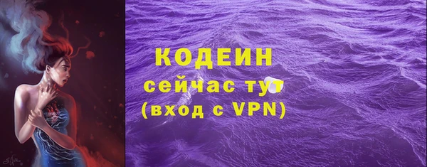 молекула духа Бронницы