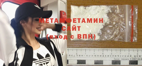 сатива Бородино