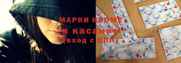 сатива Бородино