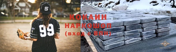 сатива Бородино