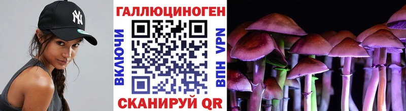 Купить закладки Сафоново Псилоцибиновые грибы мицелий